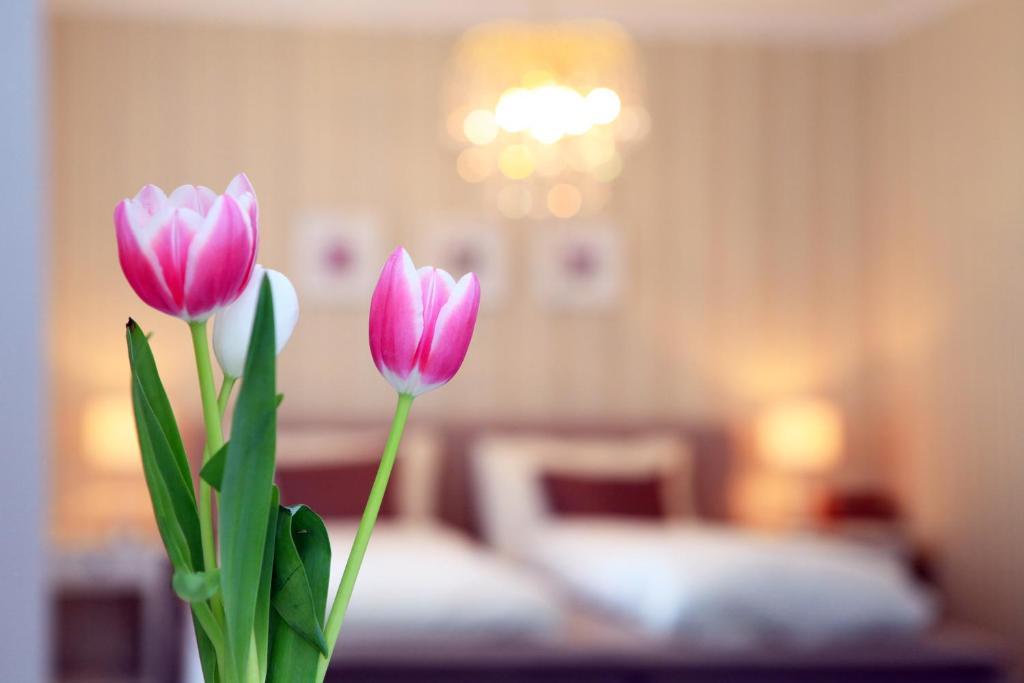 Hotel Krone Bad Ragaz Room photo